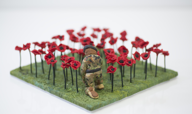 Poppy Field with soldier